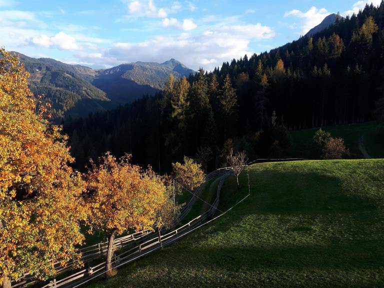 foto20