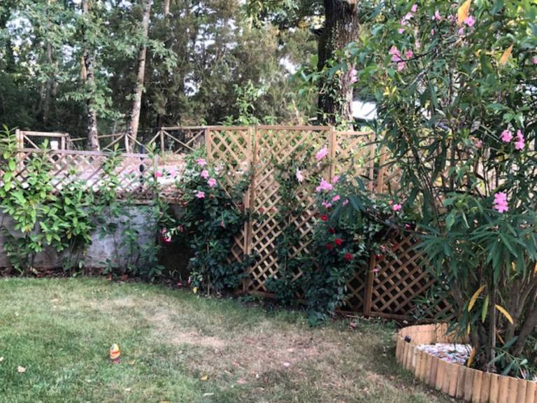 foto26