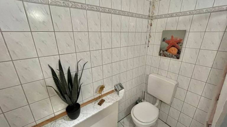 foto31