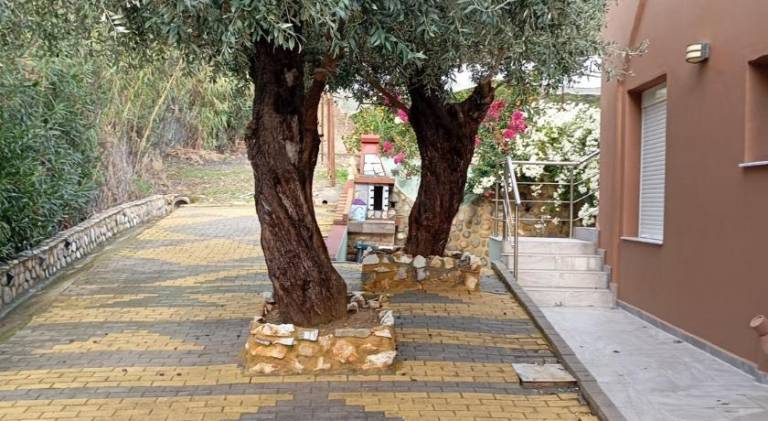 House with garden, terrace & barbeque — photo 4