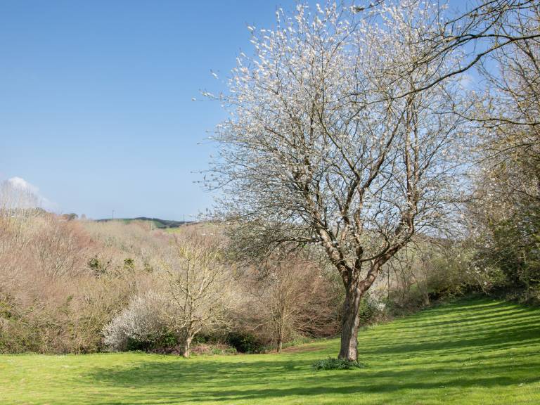 foto21