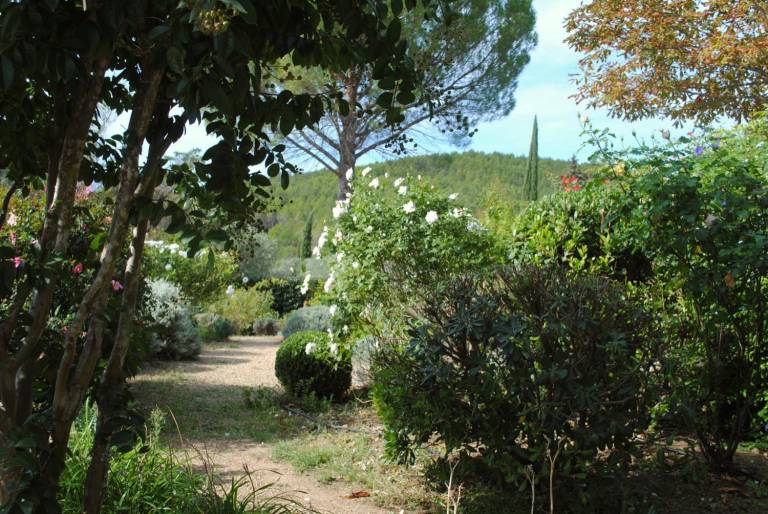 foto38