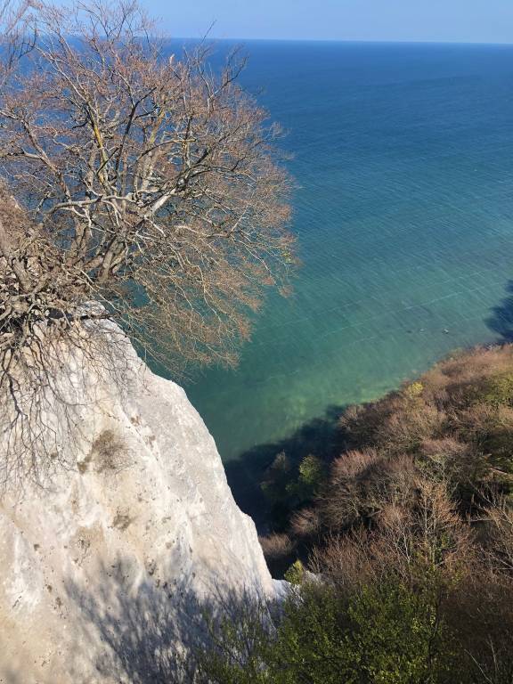 foto16