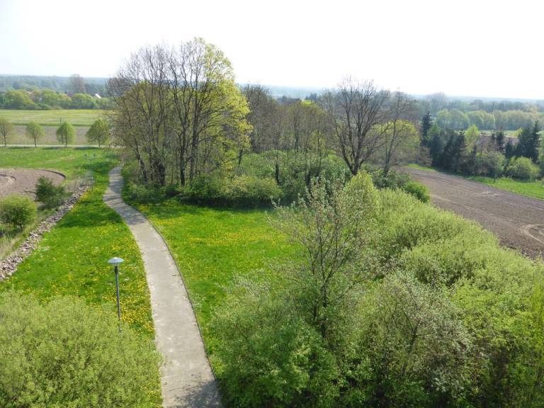 foto16