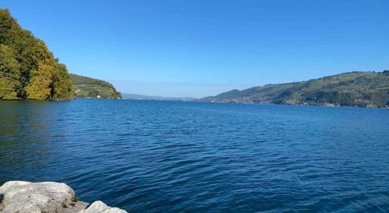 Rental apartment with 2 rooms for 4 persons in Spiez