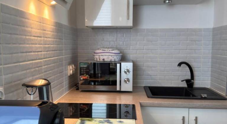 Holiday apartment with 1 room for 3 persons — photo 3