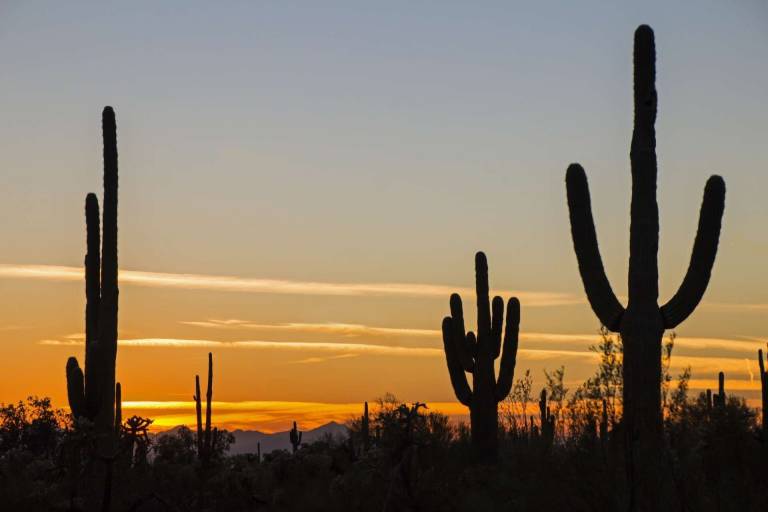 Condo North Scottsdale