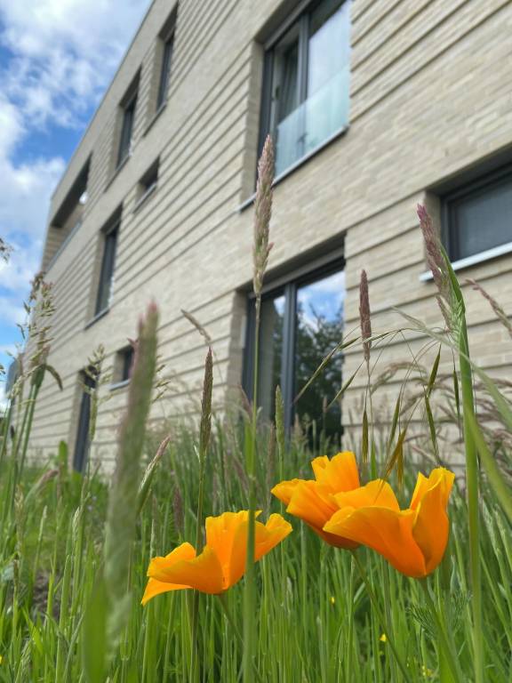 Ferienwohnung  Hiltrup