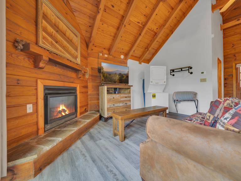 Gatlinburg Hot Tub Pet Friendly Fireplace WiFi — photo 5