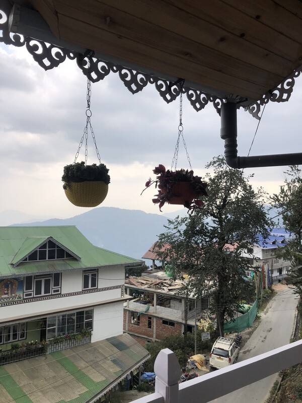 foto1