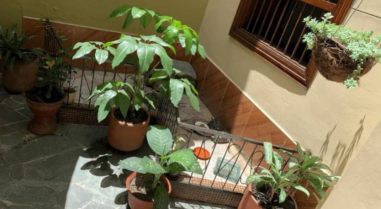 foto49