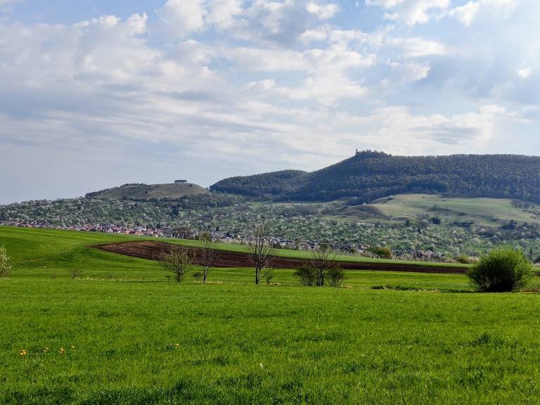 foto21