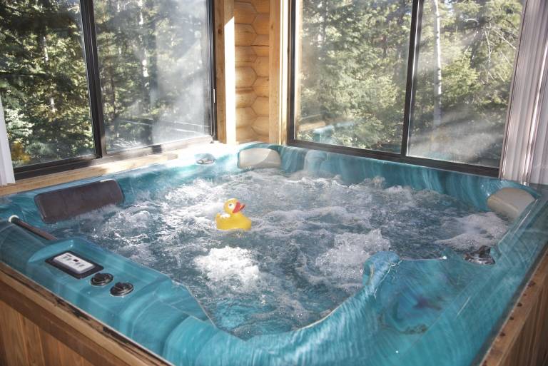 Cabin Duck Creek Village