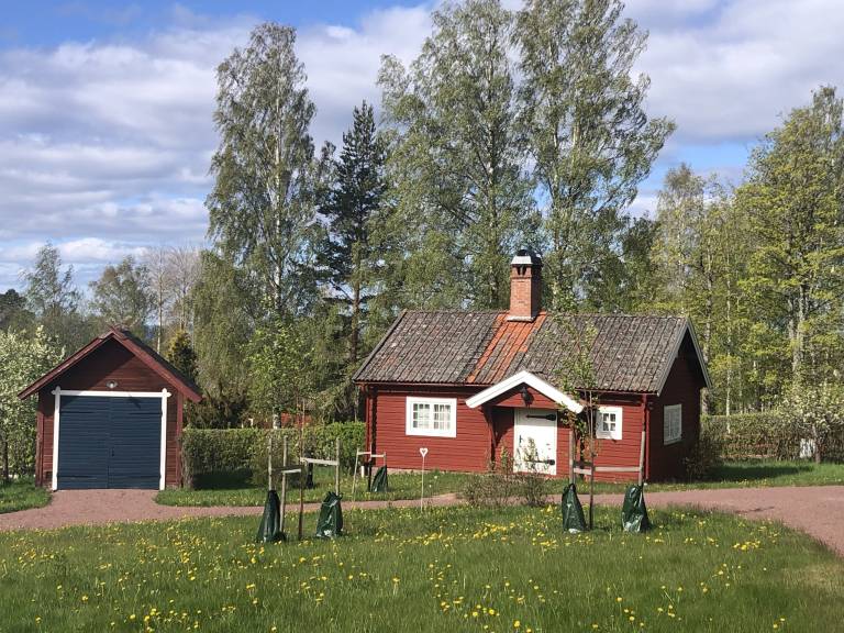 Schwedenhaus mit privater Sauna — photo 2
