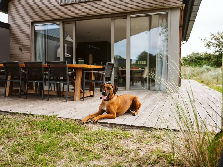 Ferienhaus Ouddorp