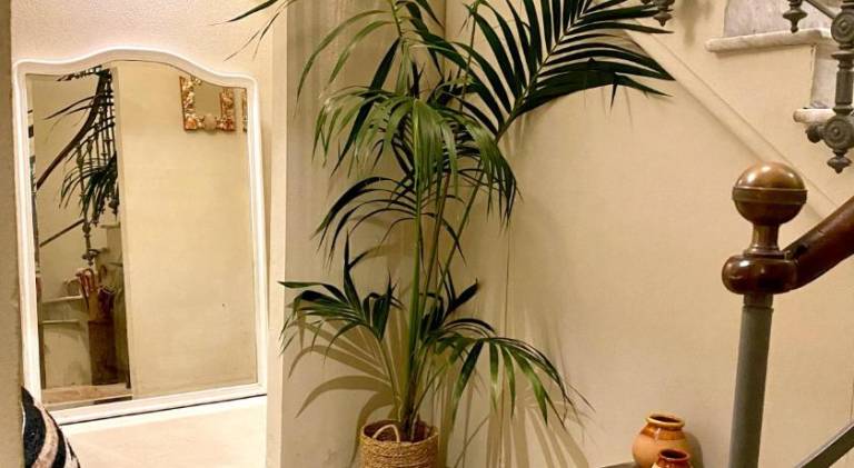 Rental apartment with 2 rooms for 4 persons in Cagli