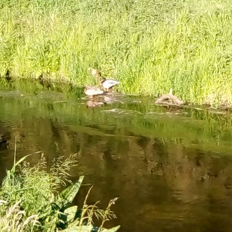 foto14
