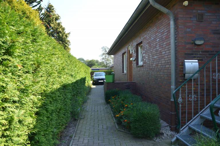 foto11