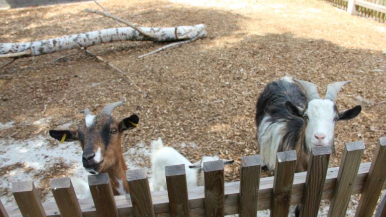 Ferienhaus  Wunsiedel
