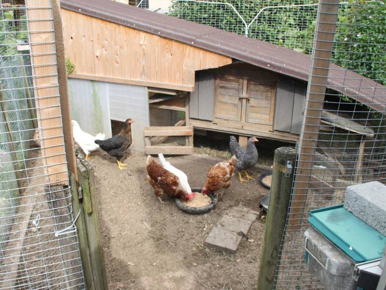 Appartement Rust
