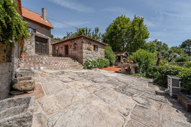 foto41