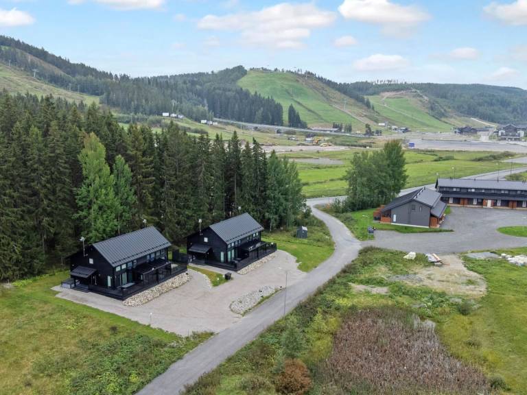 Huis Länsi-Himos