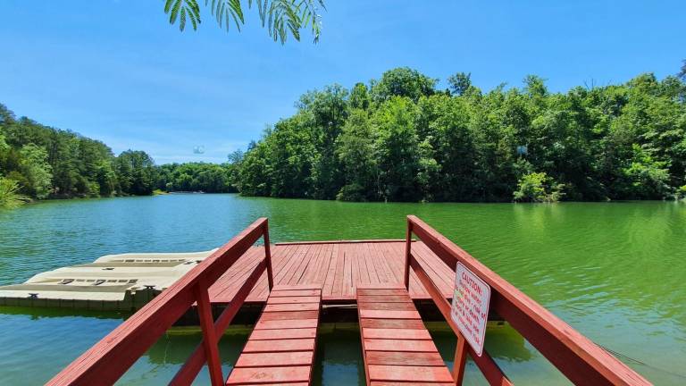 House Sevierville