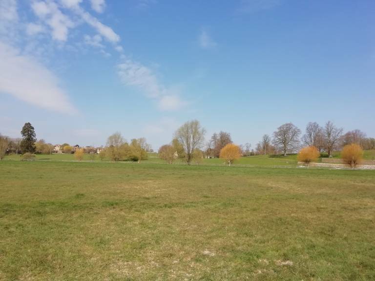 foto46
