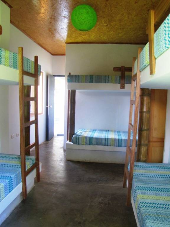 foto1