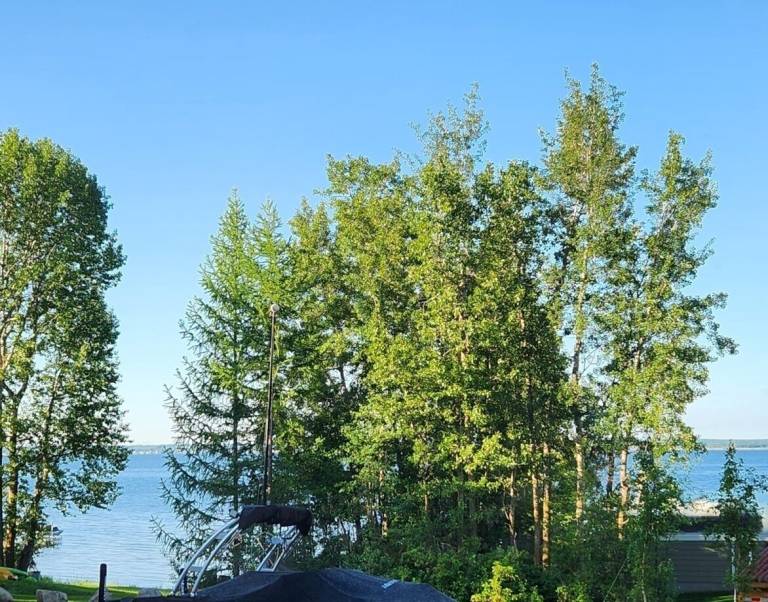 Cabin  Yellowstone