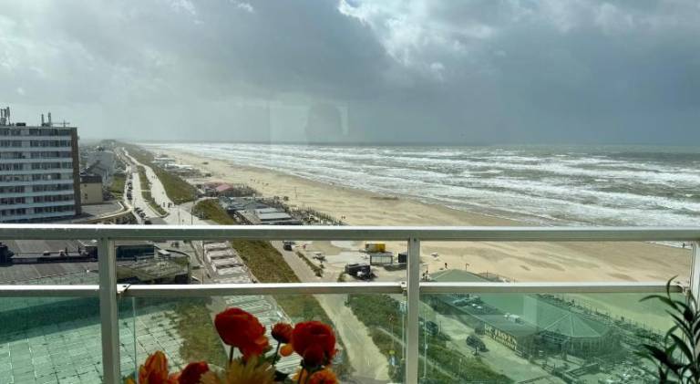 Fully equipped apartment | Close to the beach | Pets are welcome in Zandvoort