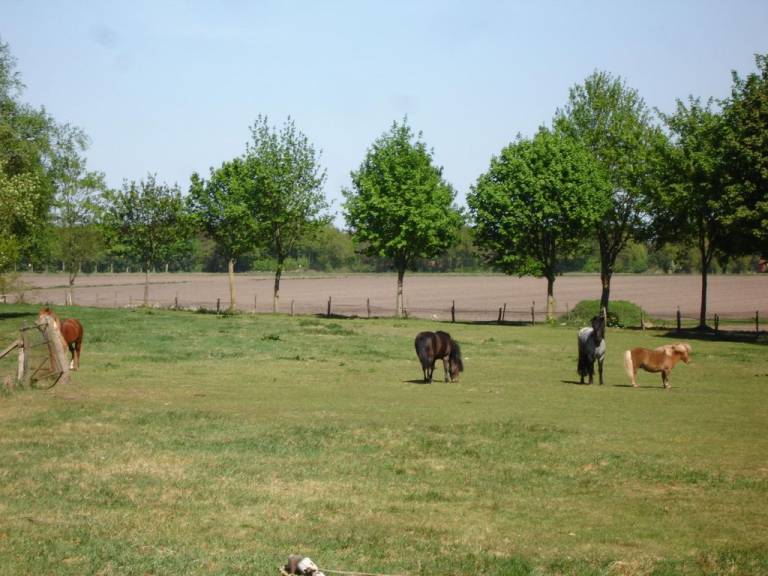foto13