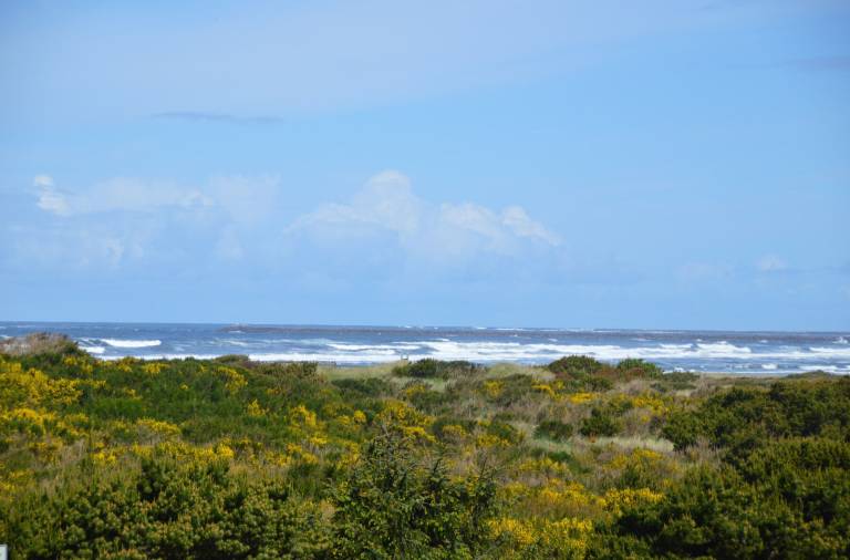Condo  Ocean Shores