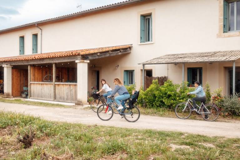 Eco-friendly gite in a wine estate in Frontignan — photo 3