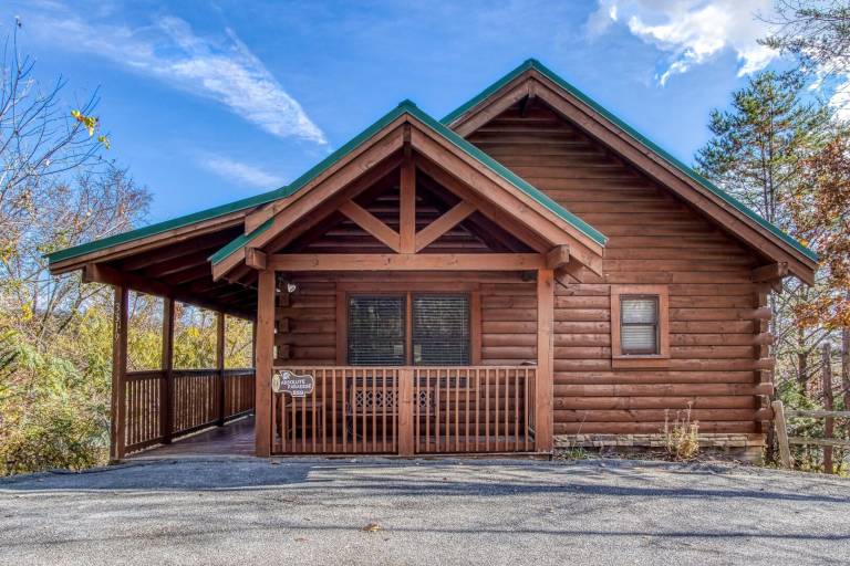 Cabin with private pool — photo 4