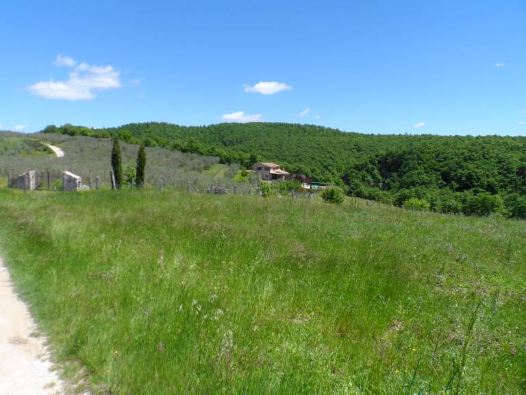 foto17