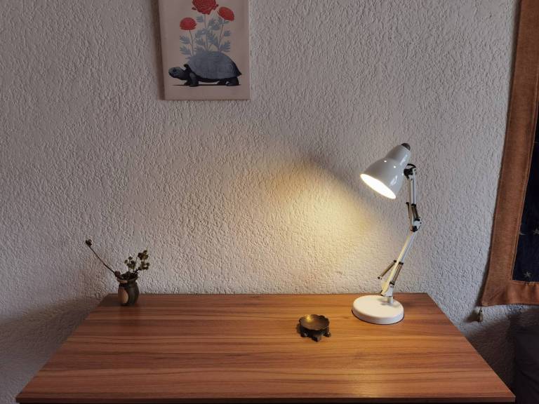 foto26