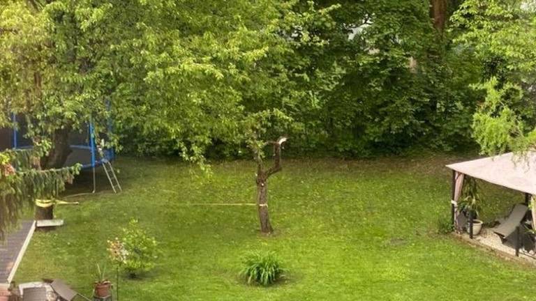 foto30