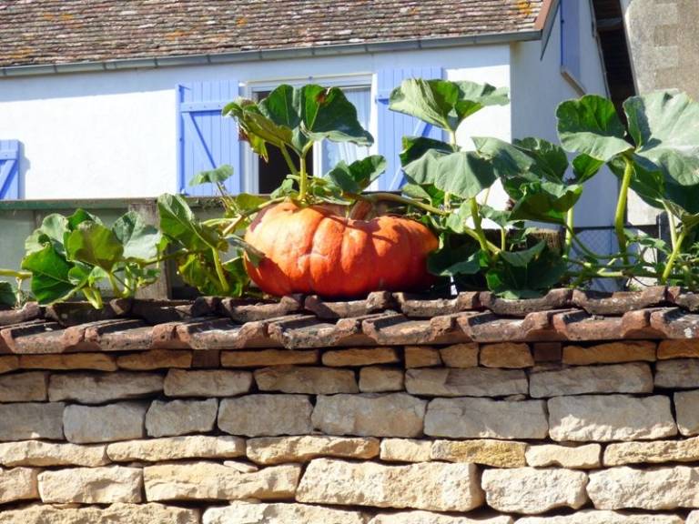 Gite with terrace & yard — photo 2