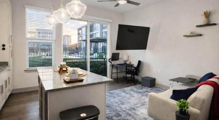 Gorgeous Luxury Lake View Suite Gym & Pool in Irving, TX