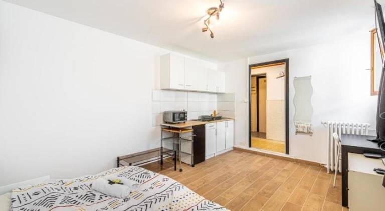 Pleasant rental apartment | Dogs allowed — photo 2