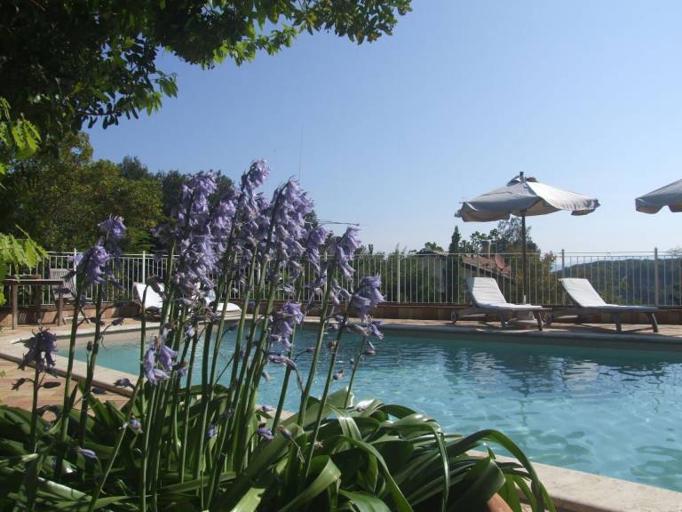 Ferienwohnung Sassetta