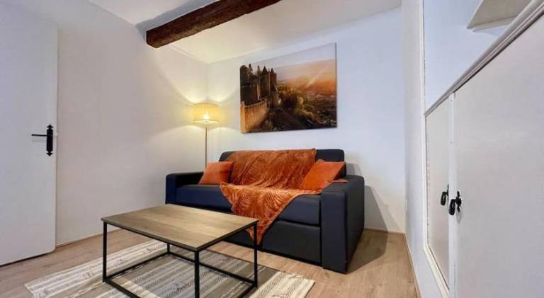 House | Pets are welcome in Carcassonne