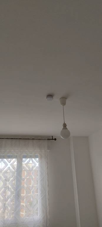 foto31