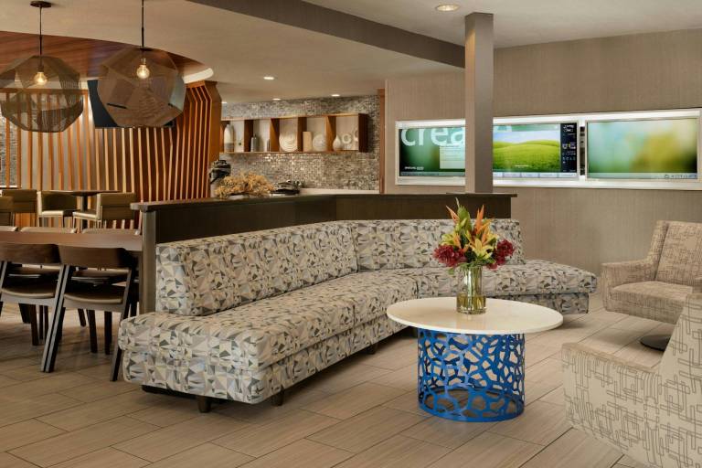 SpringHill Suites by Marriott Dallas Arlington North — photo 3
