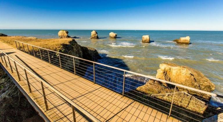 Nice rental apartment | Next to the beach | Dogs allowed — photo 4