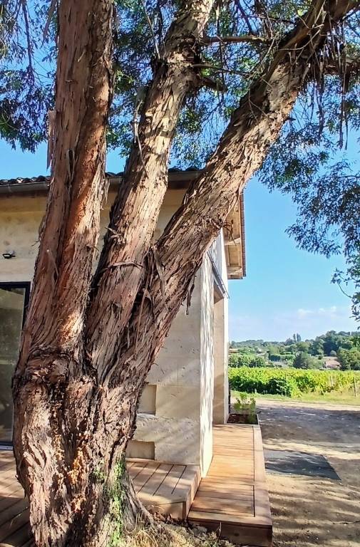 Maison de vacances Libourne