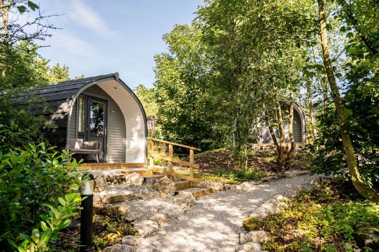 Cabin Skirethorns