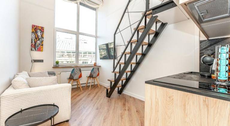 Wonderful apartment | Pets allowed in Vilnius