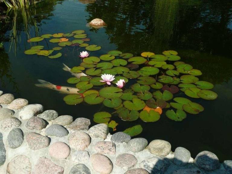 foto23